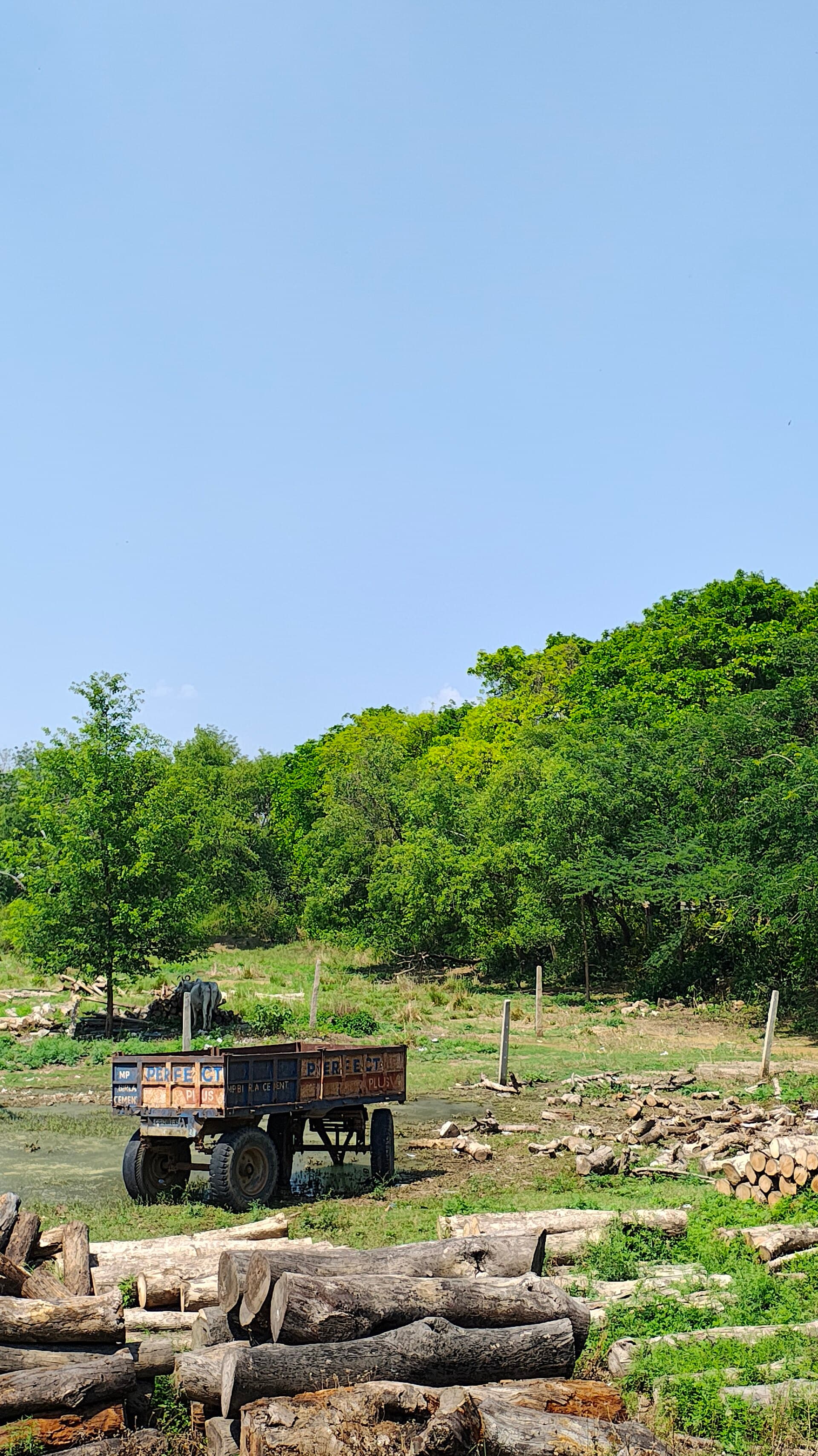 Mesh-sided landscaping cage trailer parked on a residential street